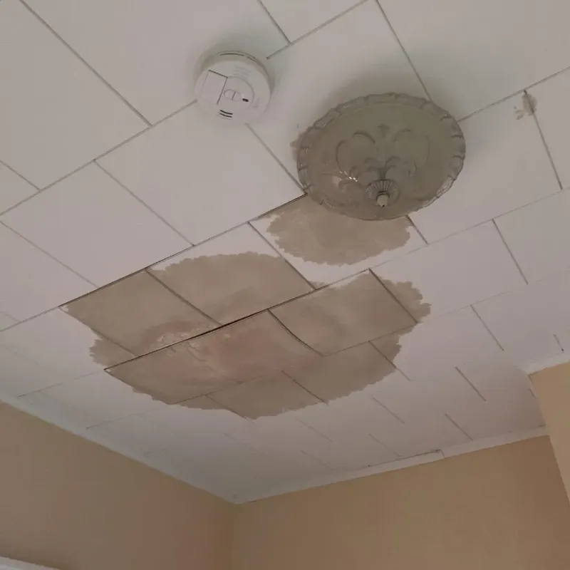 Ceiling Water Damage Repair in Pikeville, TN