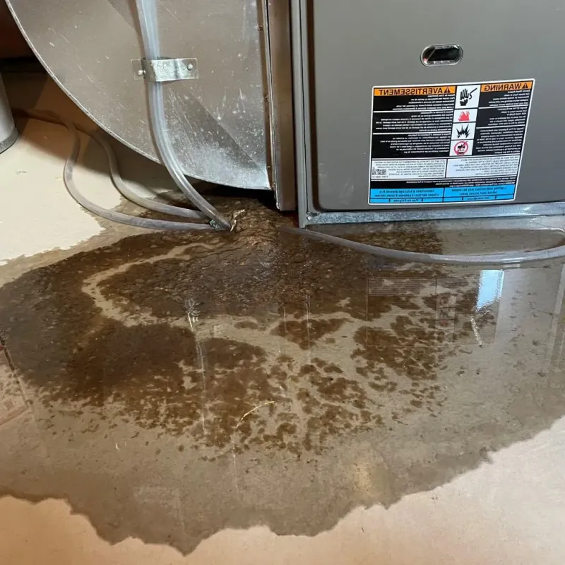 Pipe Burst and Leak Restoration in Pikeville, TN