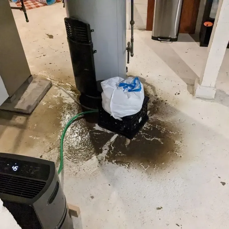 Sewage Backup Cleanup Service in Pikeville, TN